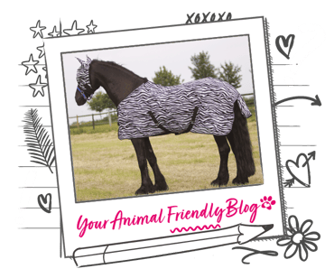 An image of a horse in a rug surrounded by a illustrated frame