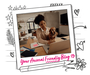 A woman works from home on a laptop, with a Dachshund on her lap