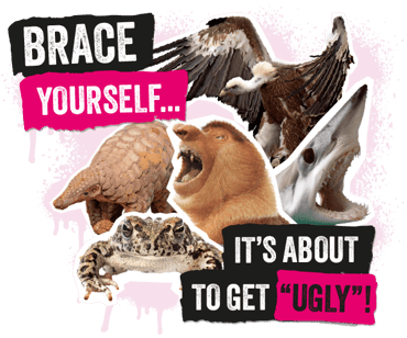 5 ugly, and endangered animals