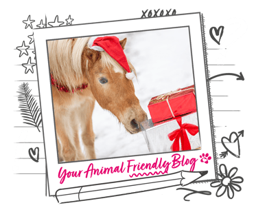 A horse wearing a Christmas hat is curious about the wrapped presents in front of them