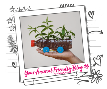 A planter made from a recycled bottle, with seedlings