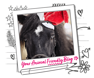 A horse wearing a Christmas hat