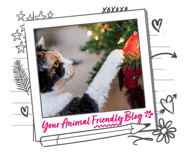A cat taps at the decorations on a Christmas tree
