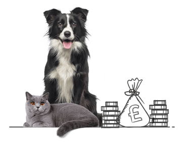 A grey cat and Border Collie are sat next to illustrated stacks of coins and bags of money