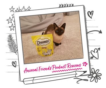 A Siamese cat sits next to a pouch of cat treats