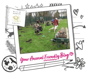 Wild North Trust, with young children helping to plant