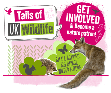 Tails of UK Wildlife