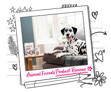 A Dalmatian dog on a sofa, next to YuMove products