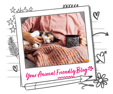 A cat enjoying a cuddle with their human, who is holding a spider web mug