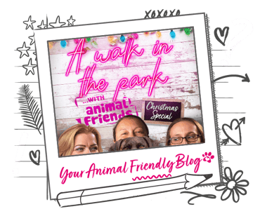 A walk in the park podcast, season 2 Christmas special