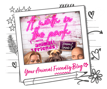 A walk in the park podcast season 2 episode 8