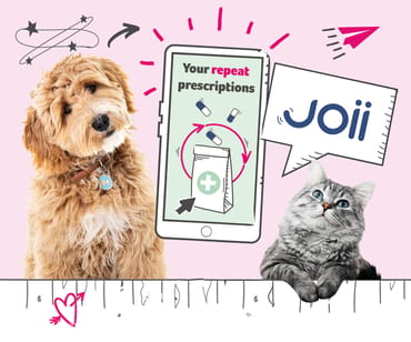 A smartphone shows you can order repeat prescriptions through the Joii app