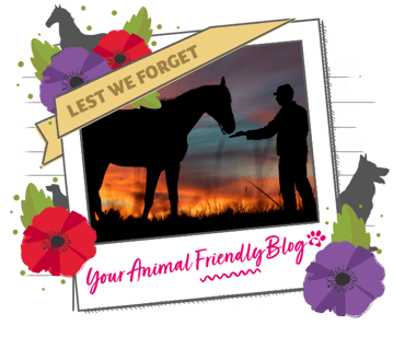 Lest we forget - a horse approaches a man at sunset