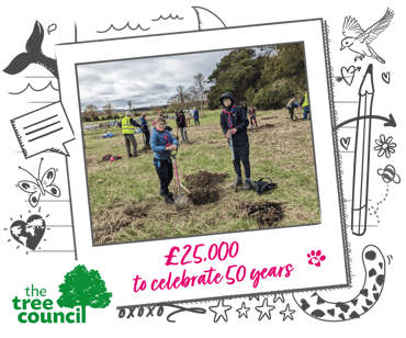 Scouts help plant a tree