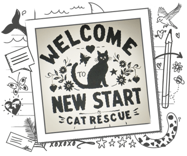 the logo of New Start Cat Rescue in a polaroid banner graphic