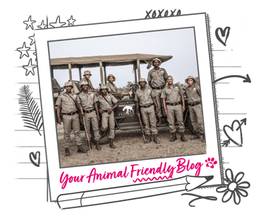 Tracker Academy Rhino Guardians stool in front of a vehicle