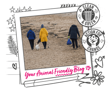4 people participating in a beach clean