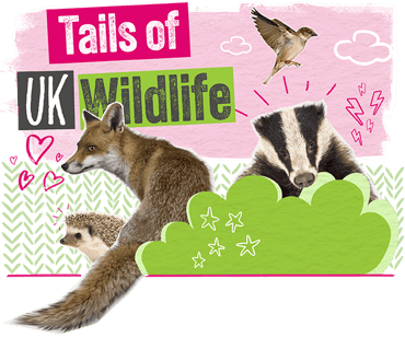 Tails of UK Wildlife, featuring a fox, hedgehog and badger