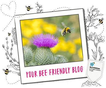 A Bee flying past a flower