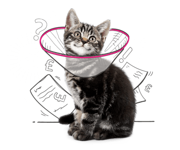 A kitten with an illustrated protective vet collar, and illustrations of vet bills