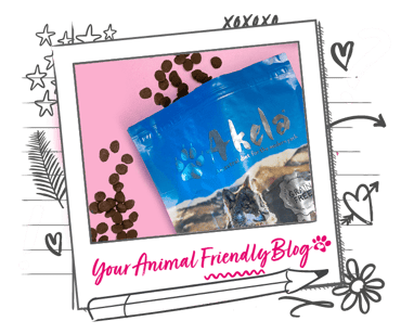 A pouch of dry dog food with some pieces falling out