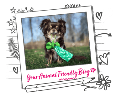 A small dog holding a dog poo bag holder in its mouth