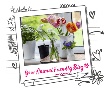 A selection of herbs, stems and flowers in vases of assorted sizes on a window sil