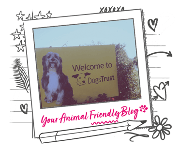 Image of a Dogs Trust welcome sign