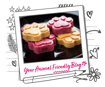 4 frozen dog treats in paw print shapes. 2 are yellow, 2 are pink