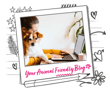 A dog sits on the lap of a woman working at a laptop