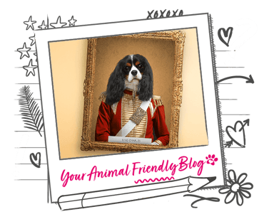 A Cavalier King Charles' head superimposed into an image of a King, supposedly King Charles