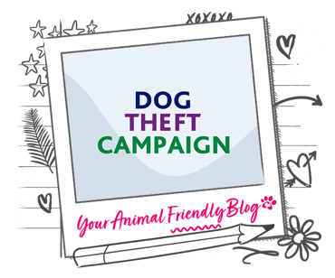 Dog Theft Campaign