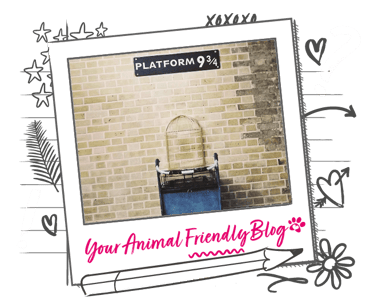 Image of platform 3/4 from Harry Potter