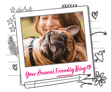A dog flops over the shoulder of a woman who is smiling