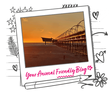 A pier and beach in the Merseyside area