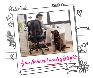 A Labrador sits next to a man working at home 