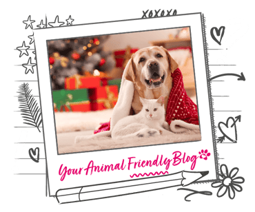 A dog and cat in a Christmassy living room, in a blanket