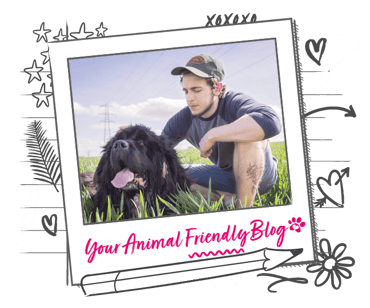 A dog and their owner sit in a grassy field