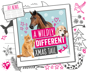 A wildly different xmas tail