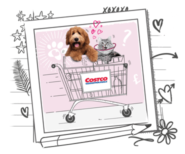 A dog and cat in an illustrated Costco shopping trolley