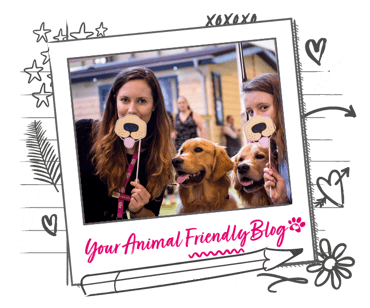 Two dogs are flanked by 2 humans who are holding nose-style photo props over their faces
