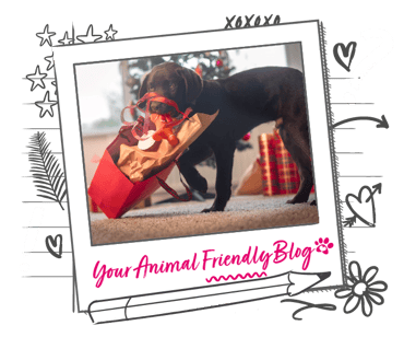 A dog excitedly unwraps their Christmas gift of a gingerbread person toy