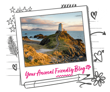 Twr Mawr Lighthouse on Llanddwyn Island