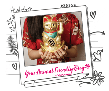 A woman holding a Maneki Neko (beckoning cat)