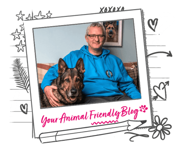 A German Shepherd on a sofa next to a man