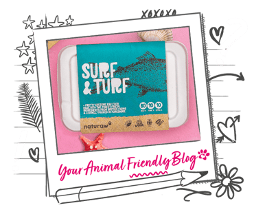 Surf and Turf raw dog food