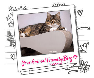 A tabby cat lays down on a cardboard scratcher