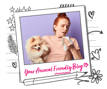 A woman is sneezing whilst holding a Pomeranian