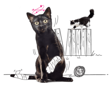 Illustration of an injured cat