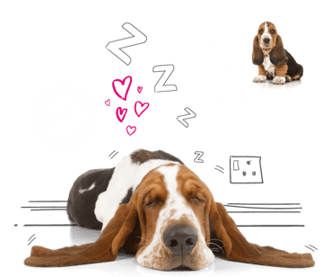 Illustration of a dog dreaming